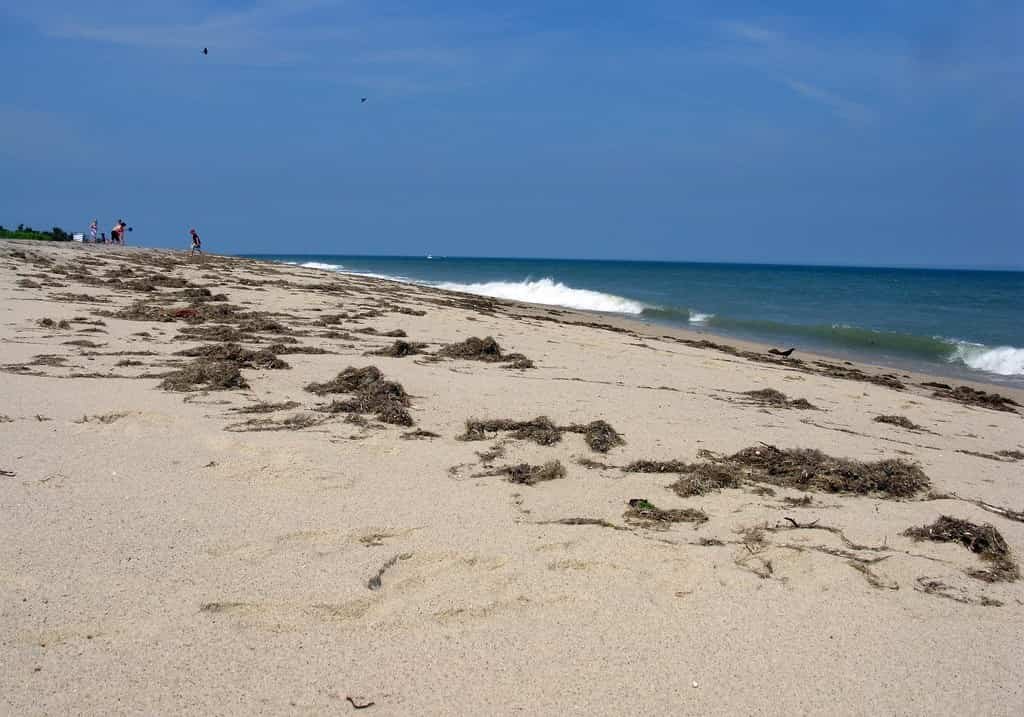 Siasconset Beach