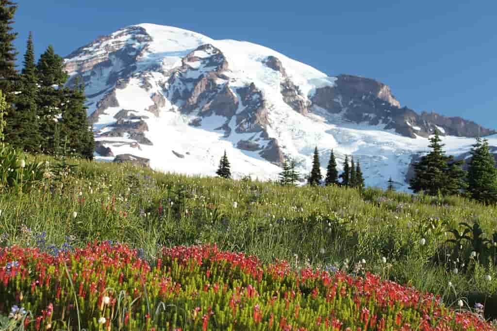 Mount Rainier National Park